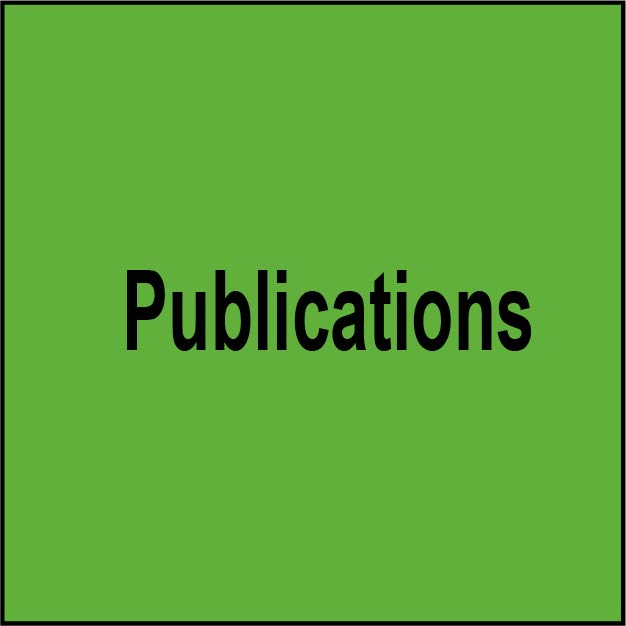 publications icon